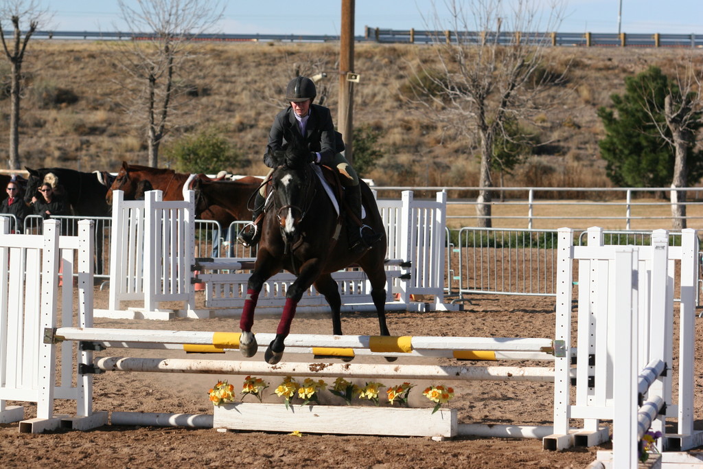 alex/nmsu_d2_fence////////////////////////////////////////////////////nmsu_fence_d2_0010.jpg