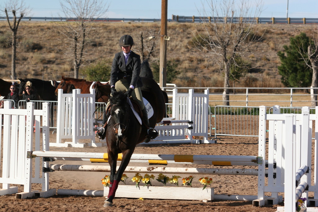 alex/nmsu_d2_fence///////////////////////////////////////////////////////////////////////////nmsu_fence_d2_0011.jpg