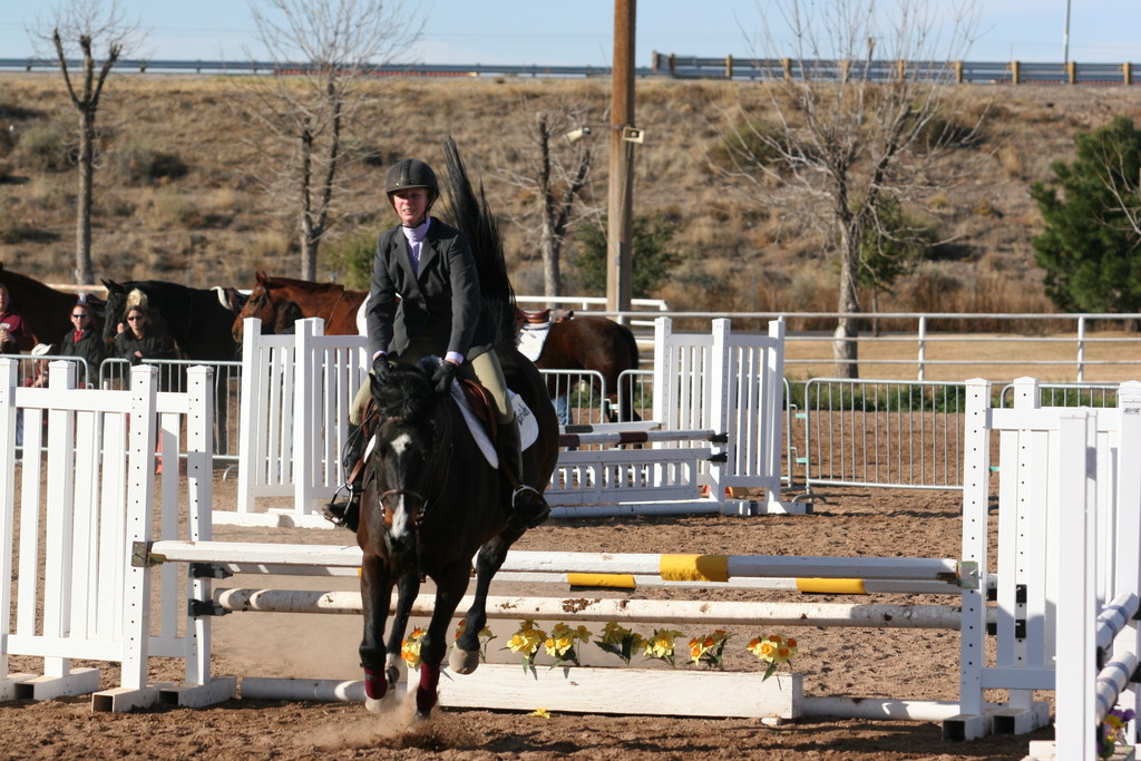 alex/nmsu_d2_fence/////////////////////////////////////////nmsu_fence_d2_0012.jpg