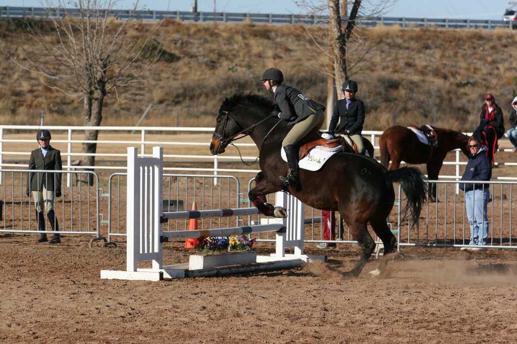 alex/nmsu_d2_fence///////////////////////////////////////////////////////////////////////////////////////////////////////////////////////////////nmsu_fence_d2_0013.jpg