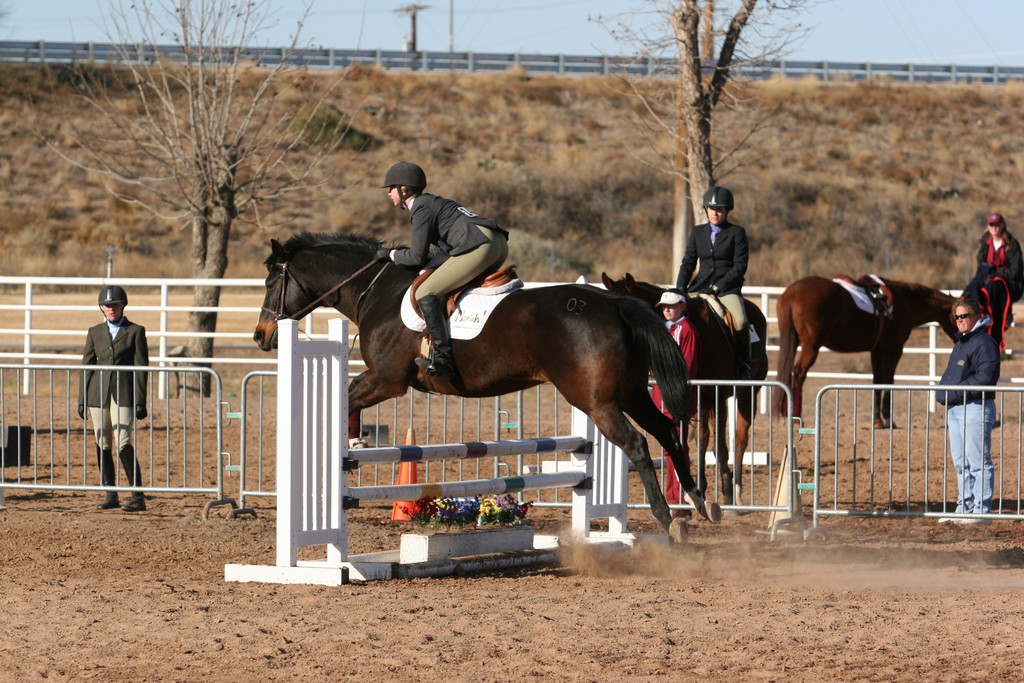 alex/nmsu_d2_fence////////nmsu_fence_d2_0014.jpg