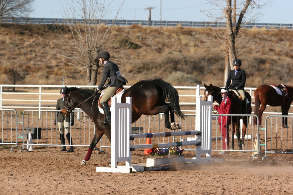 alex/nmsu_d2_fence///////////////////////////////////////////////////nmsu_fence_d2_0015.jpg