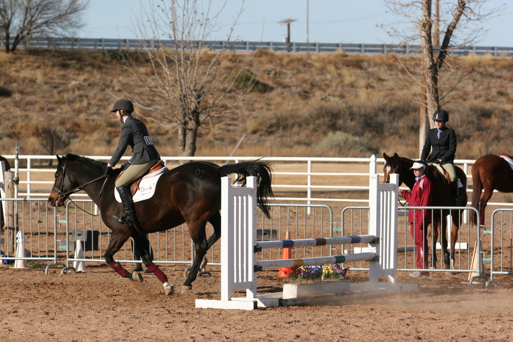 alex/nmsu_d2_fence////////////////////////////nmsu_fence_d2_0016.jpg