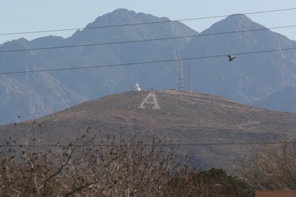 alex/nmsu_d2_fence///////////////////////////////////////////////////////////////////////////////nmsu_fence_d2_0021.jpg