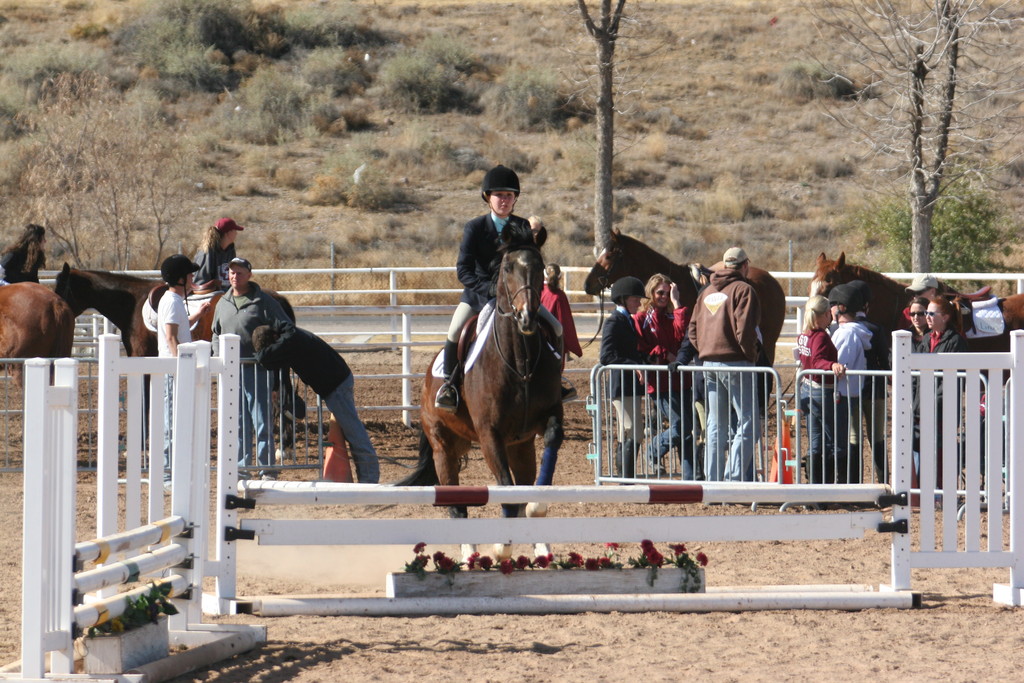 alex/nmsu_d2_fence/////////////////////////////////////////////////nmsu_fence_d2_0028.jpg