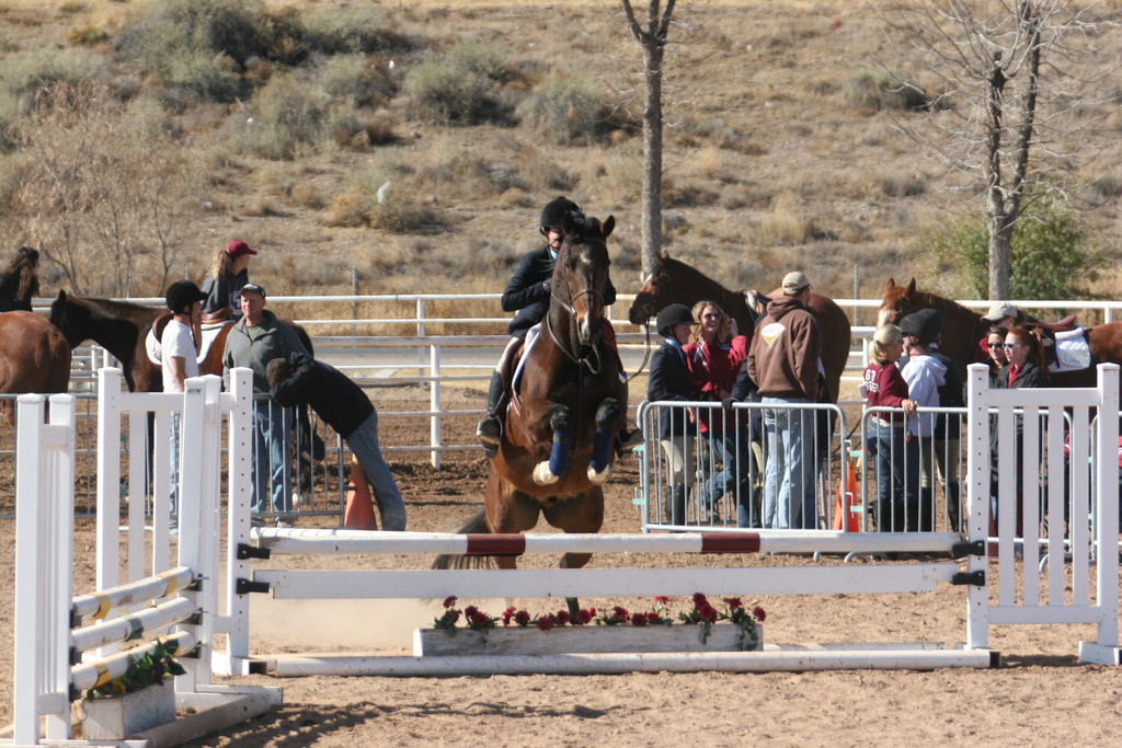 alex/nmsu_d2_fence/////////////////////////////nmsu_fence_d2_0029.jpg