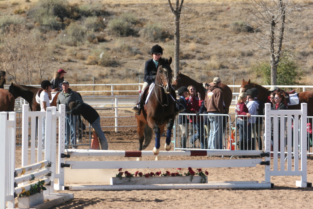 alex/nmsu_d2_fence///////////////////////////////////////////////////////////////////////////////////////////////////////////////nmsu_fence_d2_0030.jpg