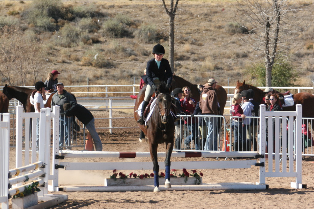 alex/nmsu_d2_fence//////////nmsu_fence_d2_0031.jpg