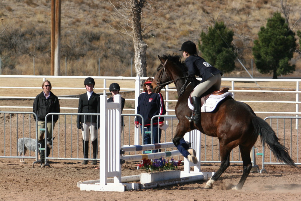 alex/nmsu_d2_fence///////////////////////////////////////////////////////////////////////////////////nmsu_fence_d2_0032.jpg