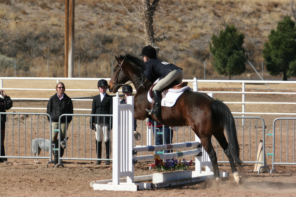 alex/nmsu_d2_fence/////////////////////////////////nmsu_fence_d2_0033.jpg