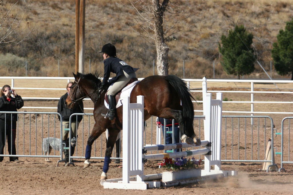 alex/nmsu_d2_fence////////////////////////////////////////////////////////////nmsu_fence_d2_0034.jpg