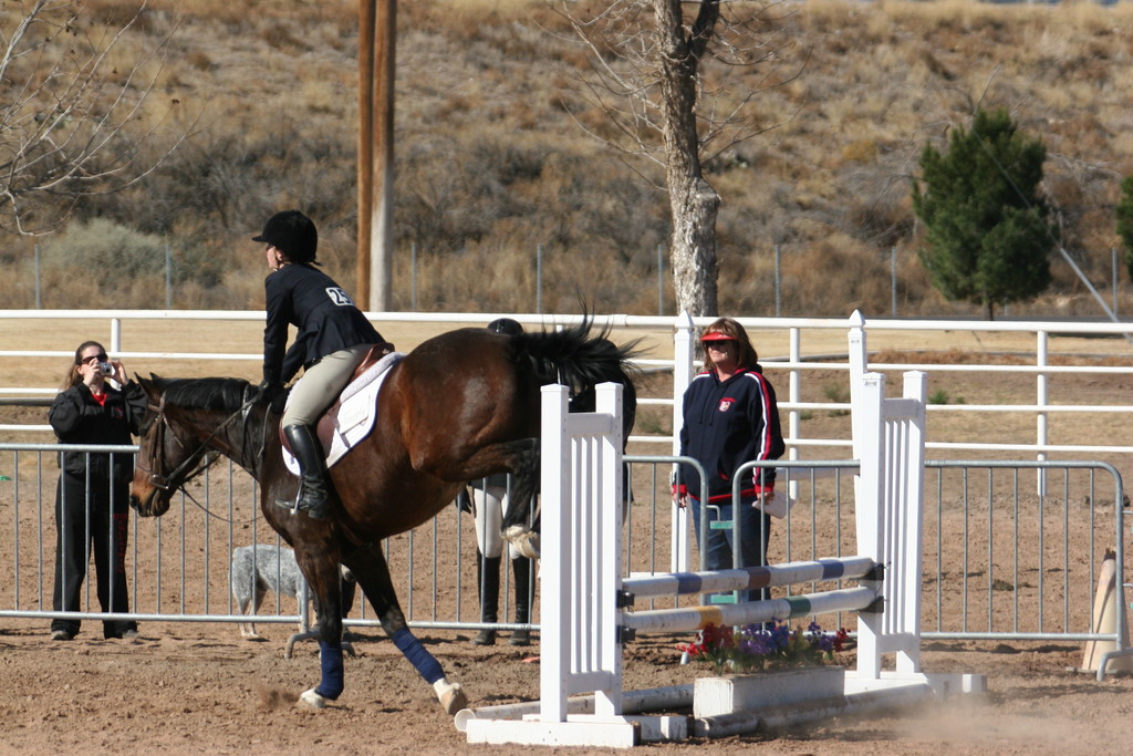 alex/nmsu_d2_fence//////////////nmsu_fence_d2_0035.jpg