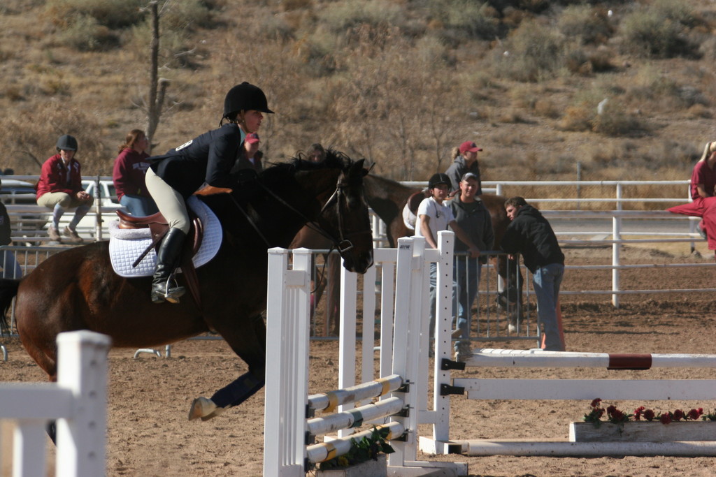 alex/nmsu_d2_fence///////////////////////////////////////////////////////////////////////////nmsu_fence_d2_0036.jpg