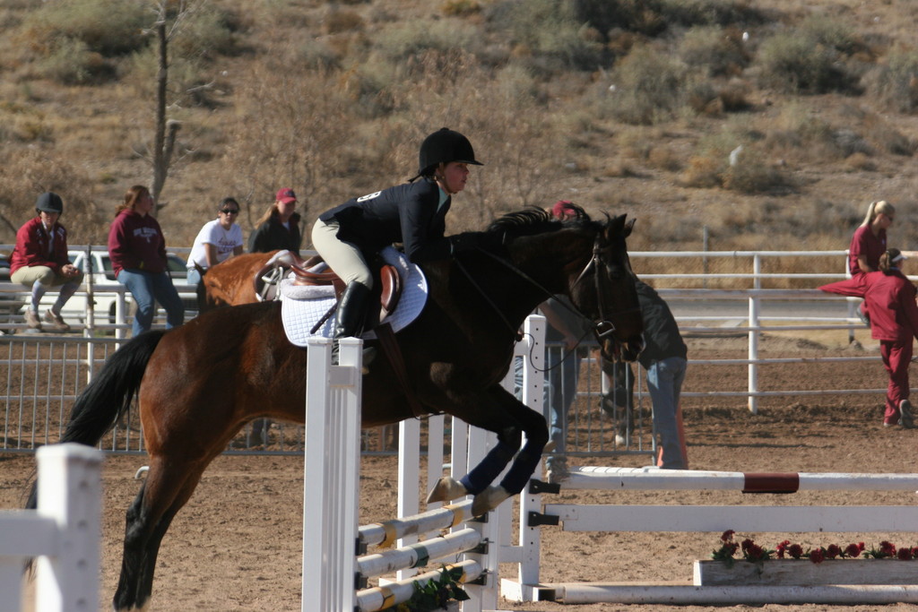 alex/nmsu_d2_fence//////////////nmsu_fence_d2_0037.jpg