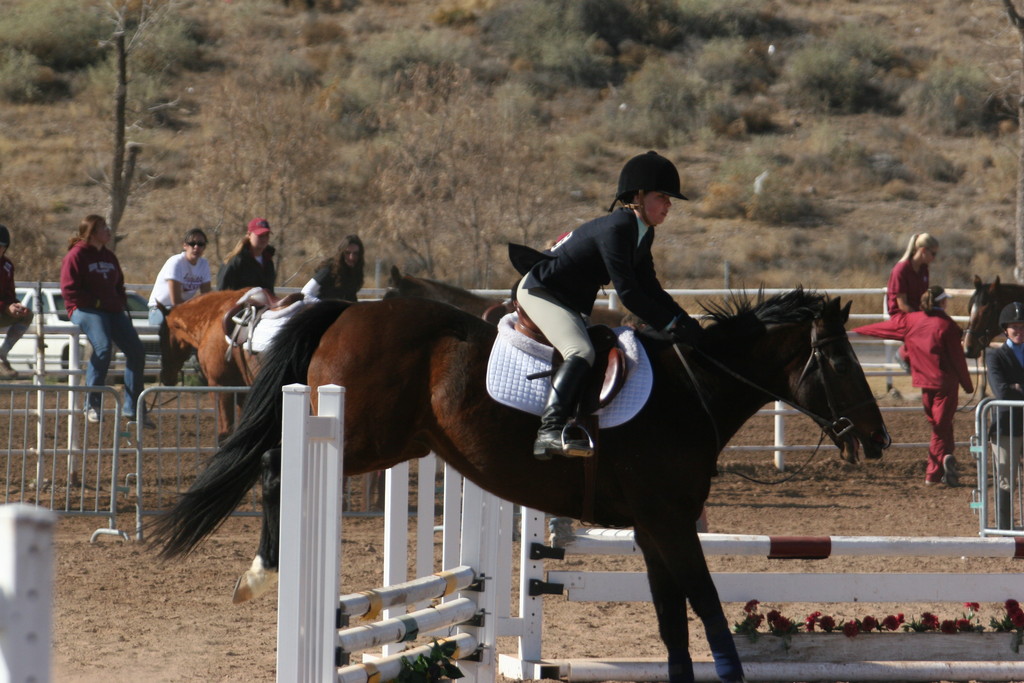 alex/nmsu_d2_fence//////////////////////////////////////////////////////nmsu_fence_d2_0038.jpg