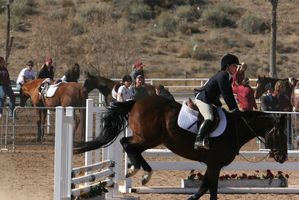 alex/nmsu_d2_fence////////////////////////////////////////////////////////////////////////////////nmsu_fence_d2_0039.jpg