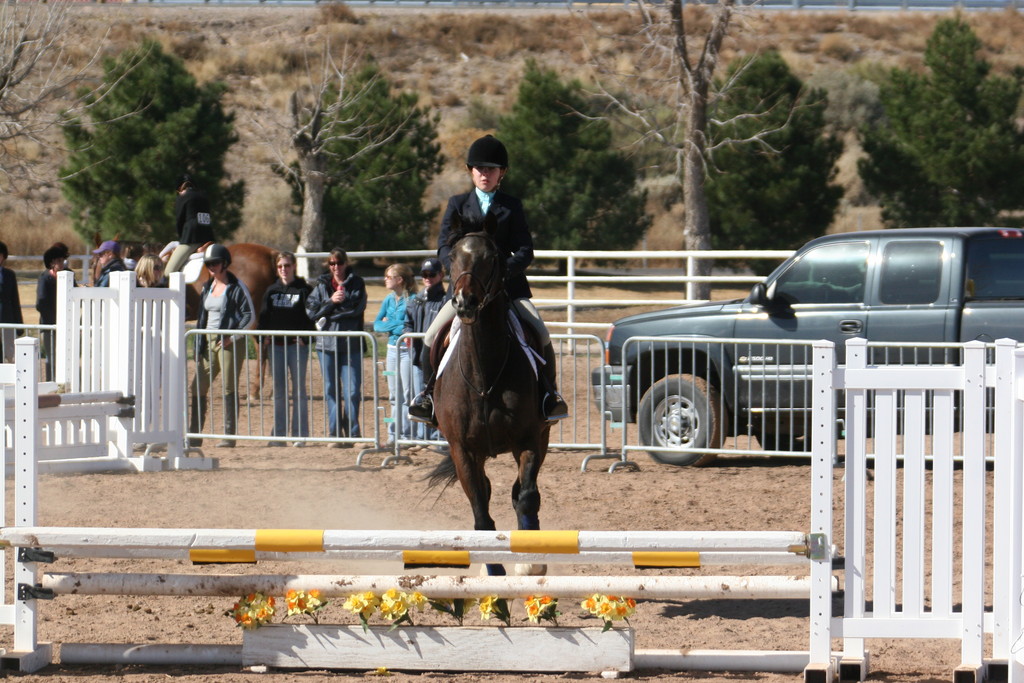 alex/nmsu_d2_fence////nmsu_fence_d2_0040.jpg