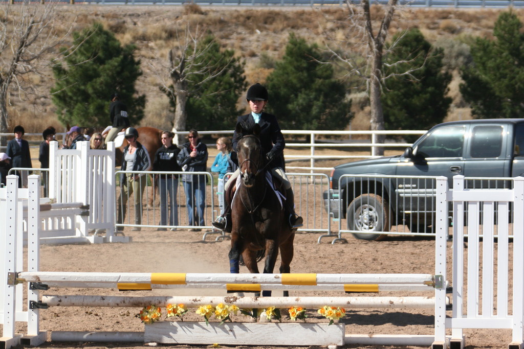 alex/nmsu_d2_fence/////////////////////////////////////////////////////////nmsu_fence_d2_0041.jpg