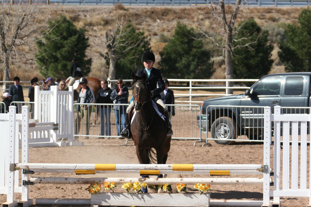 alex/nmsu_d2_fence////////////////////////////////////////////////////////nmsu_fence_d2_0042.jpg