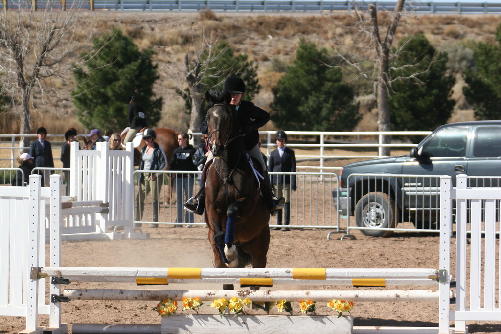 alex/nmsu_d2_fence//////////////////////////////////////////////nmsu_fence_d2_0043.jpg