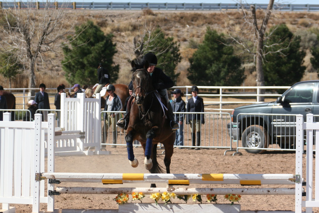 alex/nmsu_d2_fence////////////////////////////////////////////////////////////////////////////////////////////////////////////////////////////////////////nmsu_fence_d2_0044.jpg