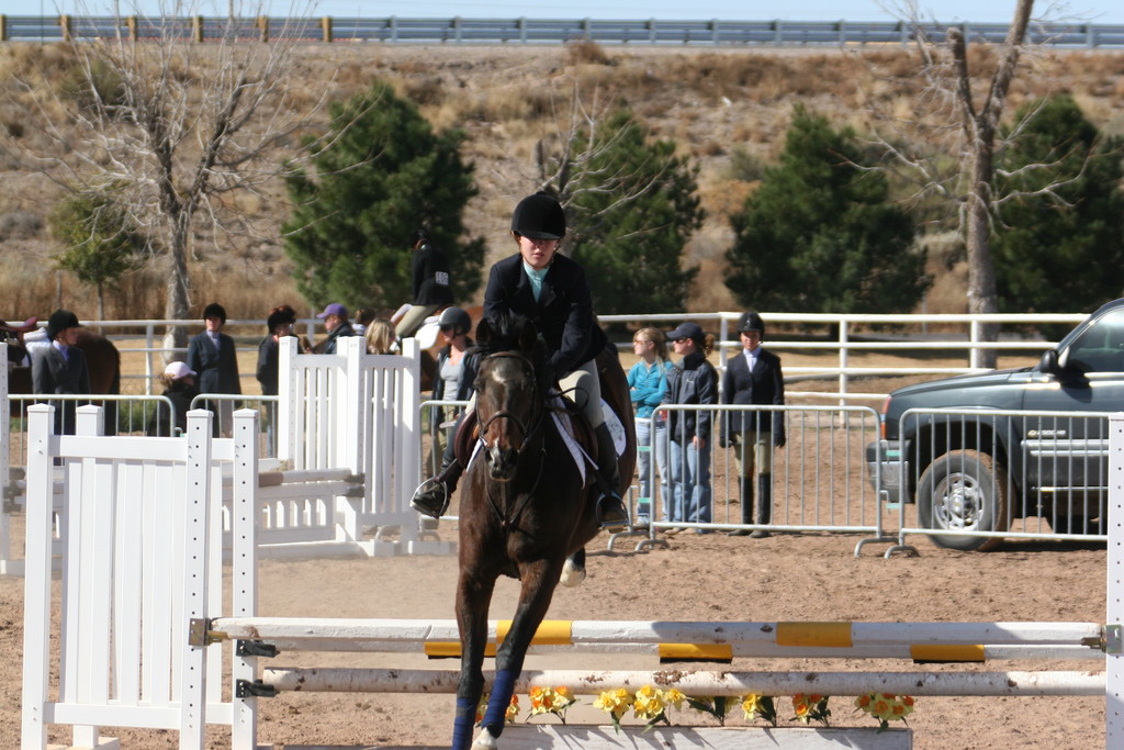 alex/nmsu_d2_fence//////////nmsu_fence_d2_0045.jpg