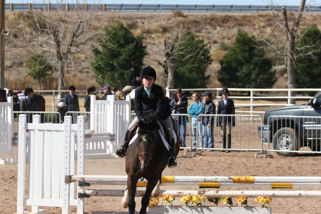 alex/nmsu_d2_fence////////////////////////////////////////////////////nmsu_fence_d2_0046.jpg