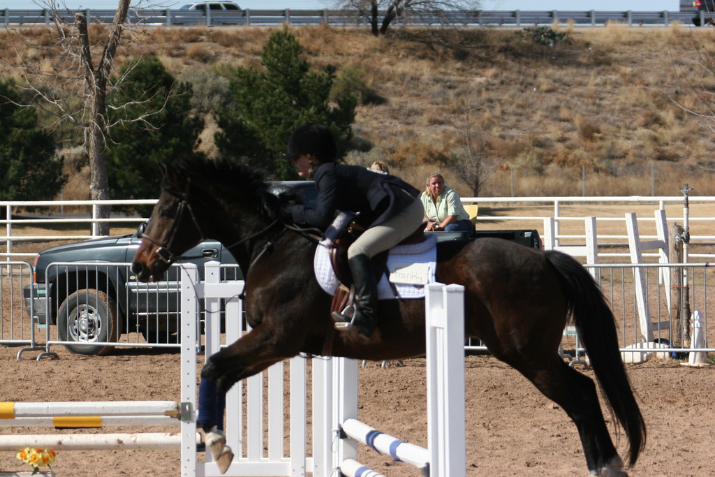 alex/nmsu_d2_fence//////////////////////////////////////////nmsu_fence_d2_0048.jpg