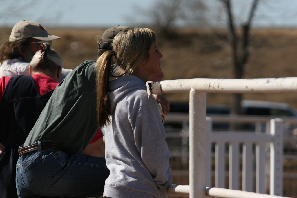 alex/nmsu_d2_fence//////////////////////////////////////////////////////////////////////////////nmsu_fence_d2_0054.jpg