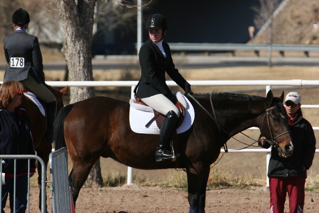 alex/nmsu_d2_fence///////////////////////////////////////////////////////////////////////nmsu_fence_d2_0058.jpg