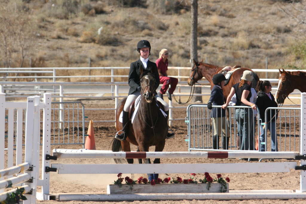 alex/nmsu_d2_fence//////////////////////////////////////////////////////nmsu_fence_d2_0060.jpg