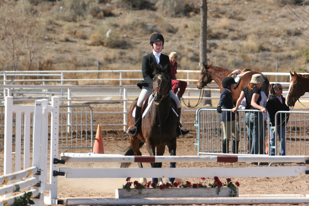 alex/nmsu_d2_fence///////////nmsu_fence_d2_0061.jpg