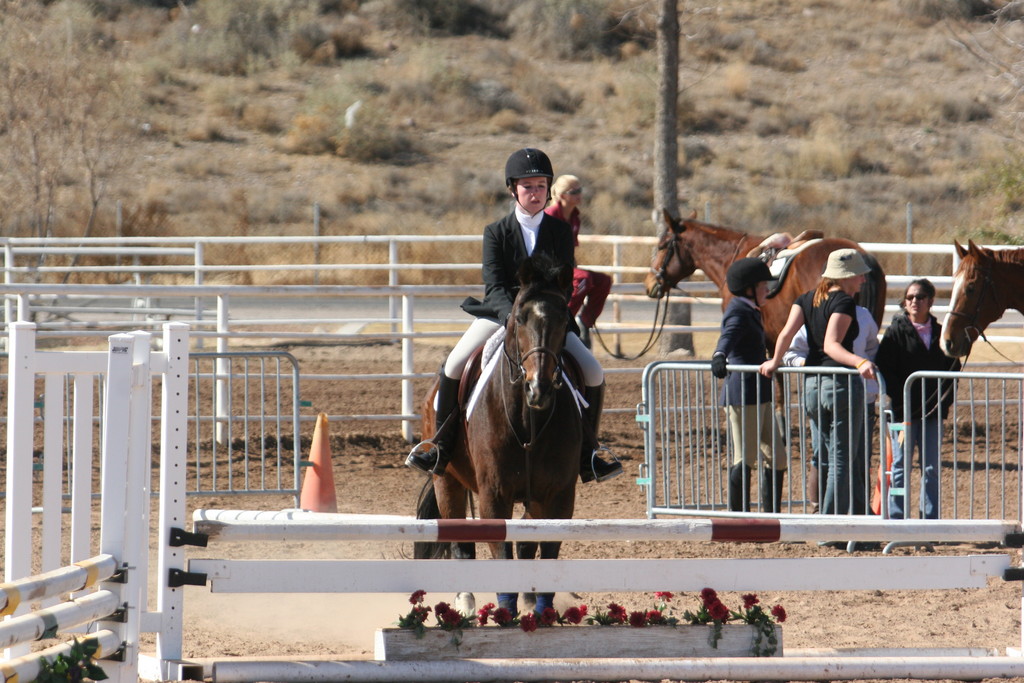 alex/nmsu_d2_fence////////////nmsu_fence_d2_0062.jpg