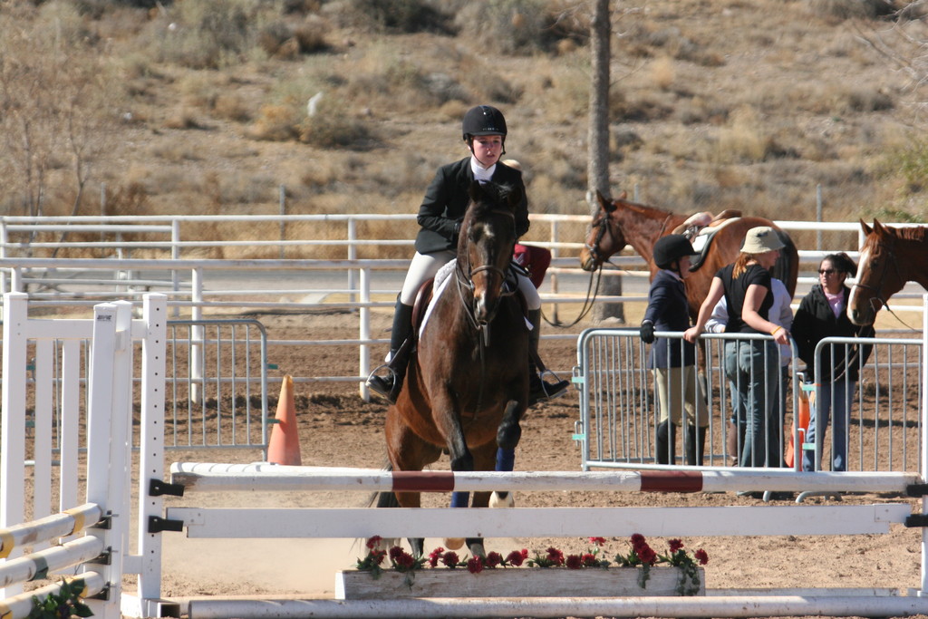 alex/nmsu_d2_fence///////////////////////////////nmsu_fence_d2_0063.jpg