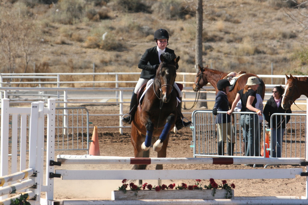 alex/nmsu_d2_fence///////////////////////////////////////////////////////////nmsu_fence_d2_0064.jpg