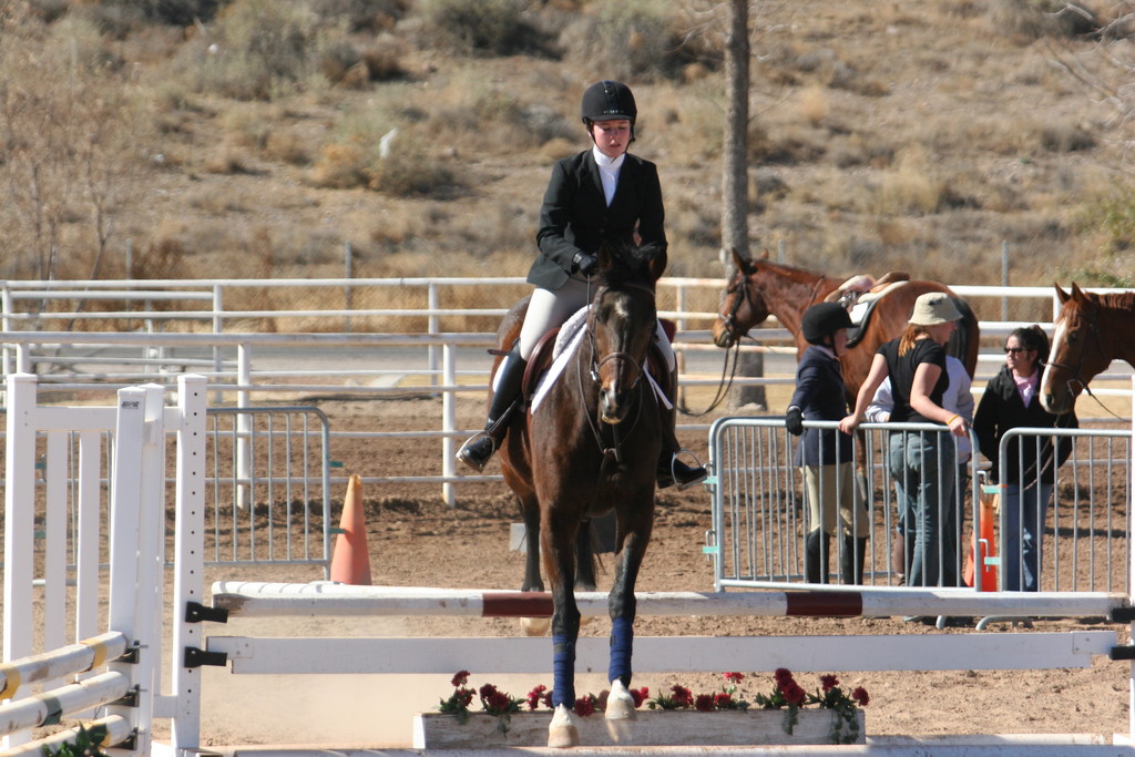 alex/nmsu_d2_fence///////////////nmsu_fence_d2_0065.jpg