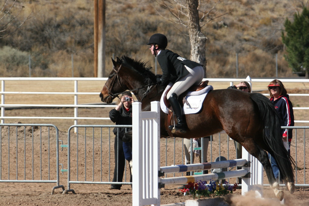 alex/nmsu_d2_fence/////////////////////////nmsu_fence_d2_0067.jpg