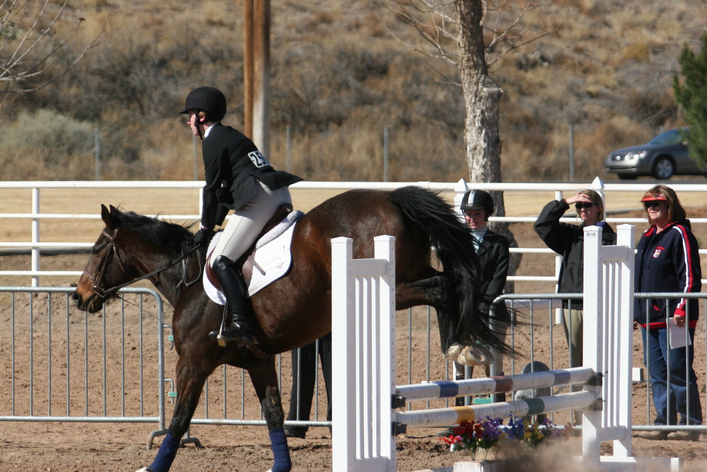 alex/nmsu_d2_fence//////////////////nmsu_fence_d2_0068.jpg