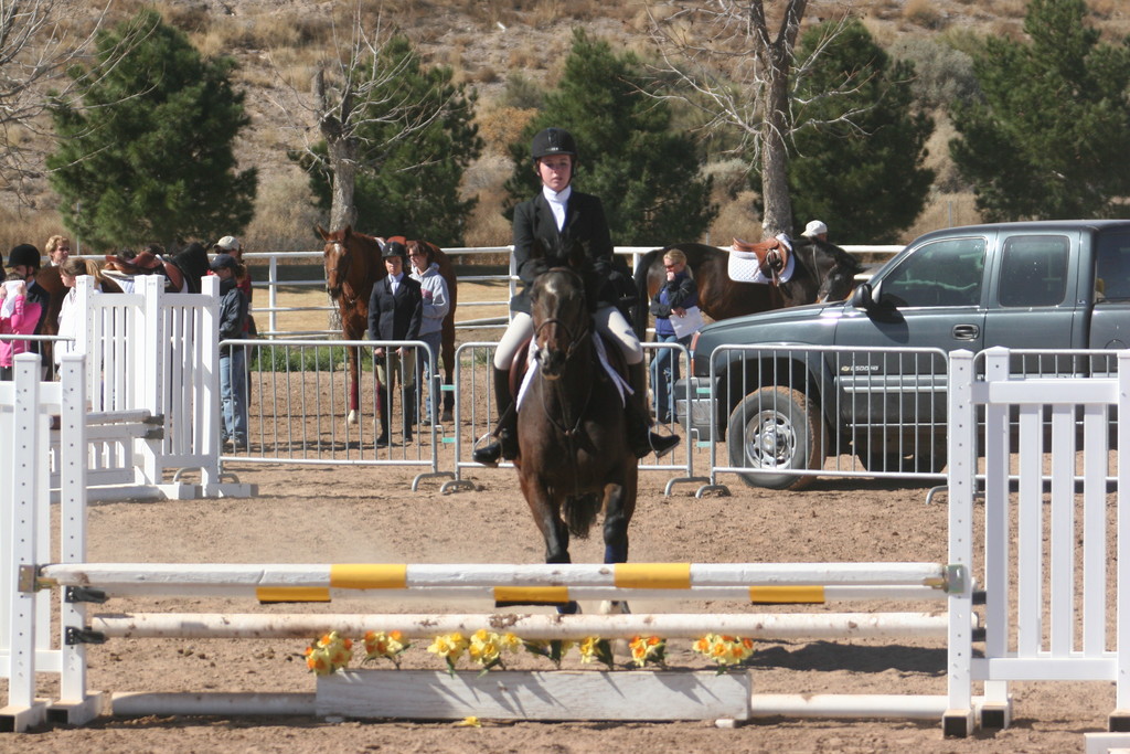 alex/nmsu_d2_fence///////////////////////////////////////////nmsu_fence_d2_0071.jpg