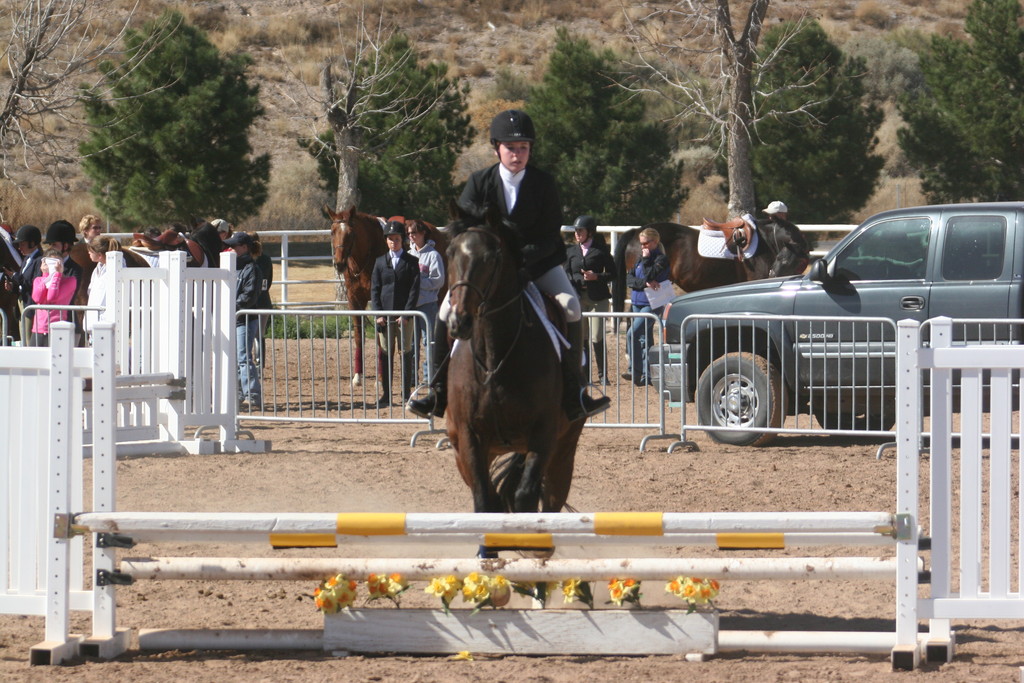 alex/nmsu_d2_fence////////////////////////////////////////////////////////////////nmsu_fence_d2_0073.jpg