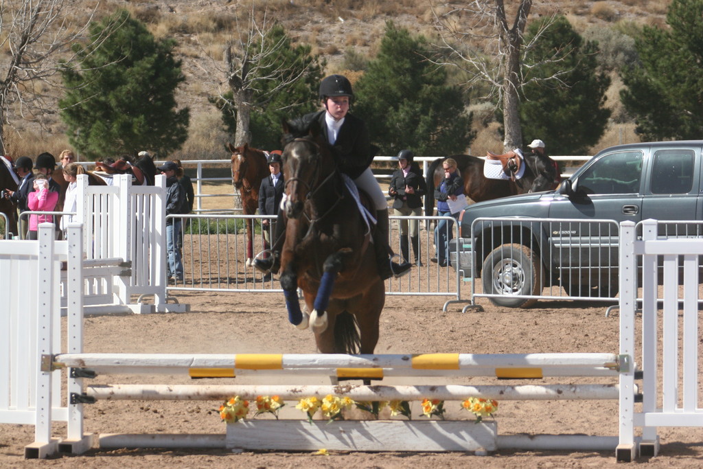 alex/nmsu_d2_fence//////////////////////////////////////////////////////////////nmsu_fence_d2_0074.jpg