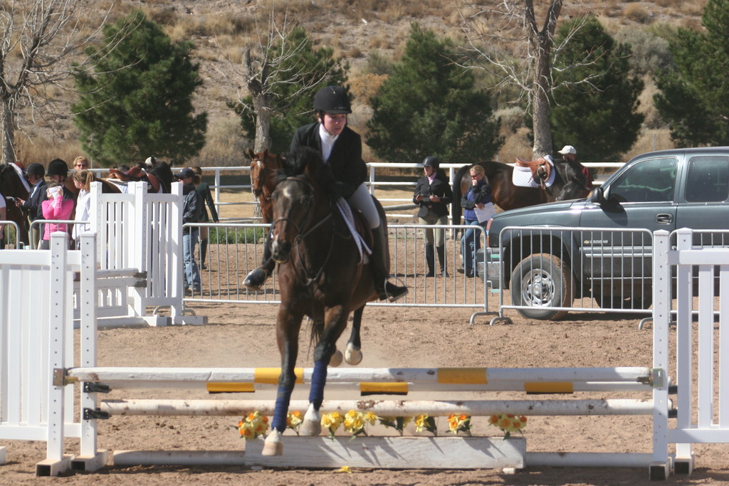 alex/nmsu_d2_fence//////////////////////////////////////////////////////////////////////////nmsu_fence_d2_0075.jpg