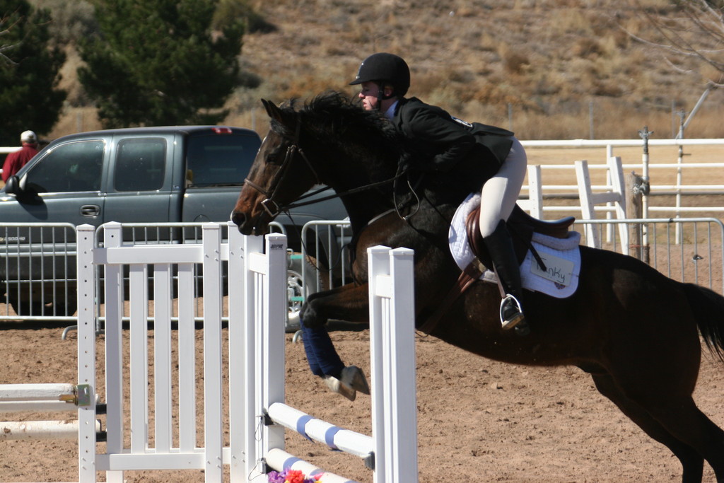 alex/nmsu_d2_fence///////////////////////nmsu_fence_d2_0078.jpg