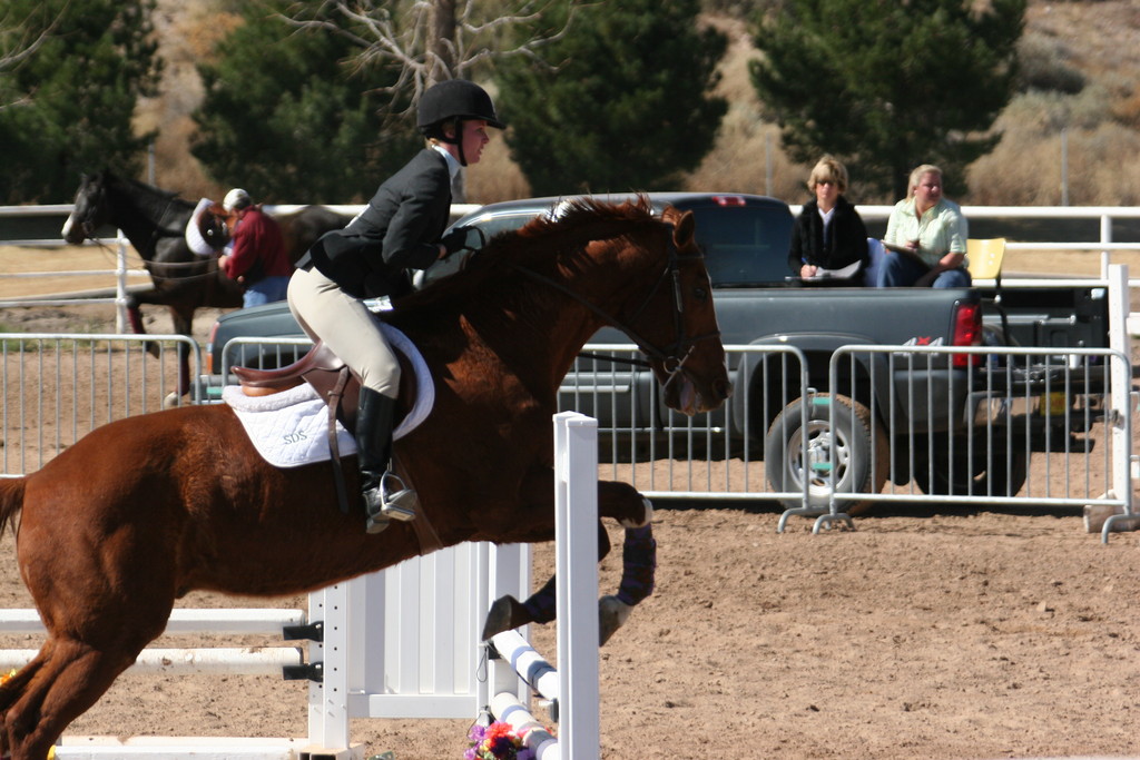 alex/nmsu_d2_fence////////nmsu_fence_d2_0086.jpg