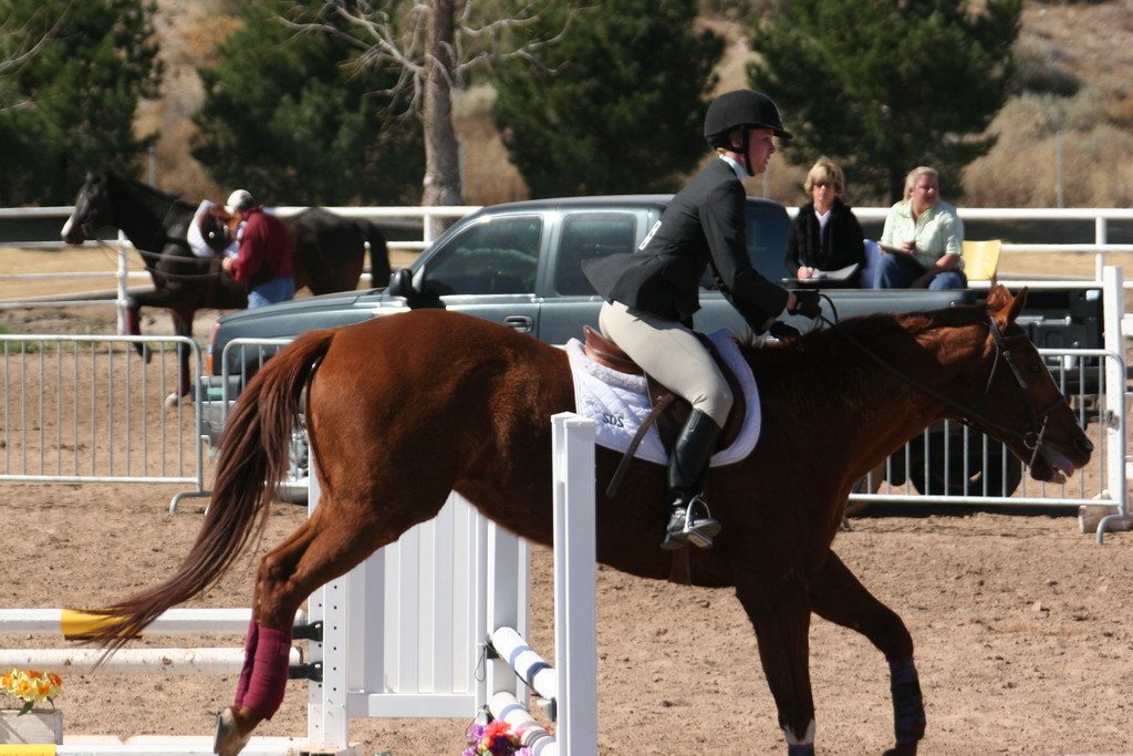 alex/nmsu_d2_fence///////////////////////////////////////////////////////////nmsu_fence_d2_0087.jpg