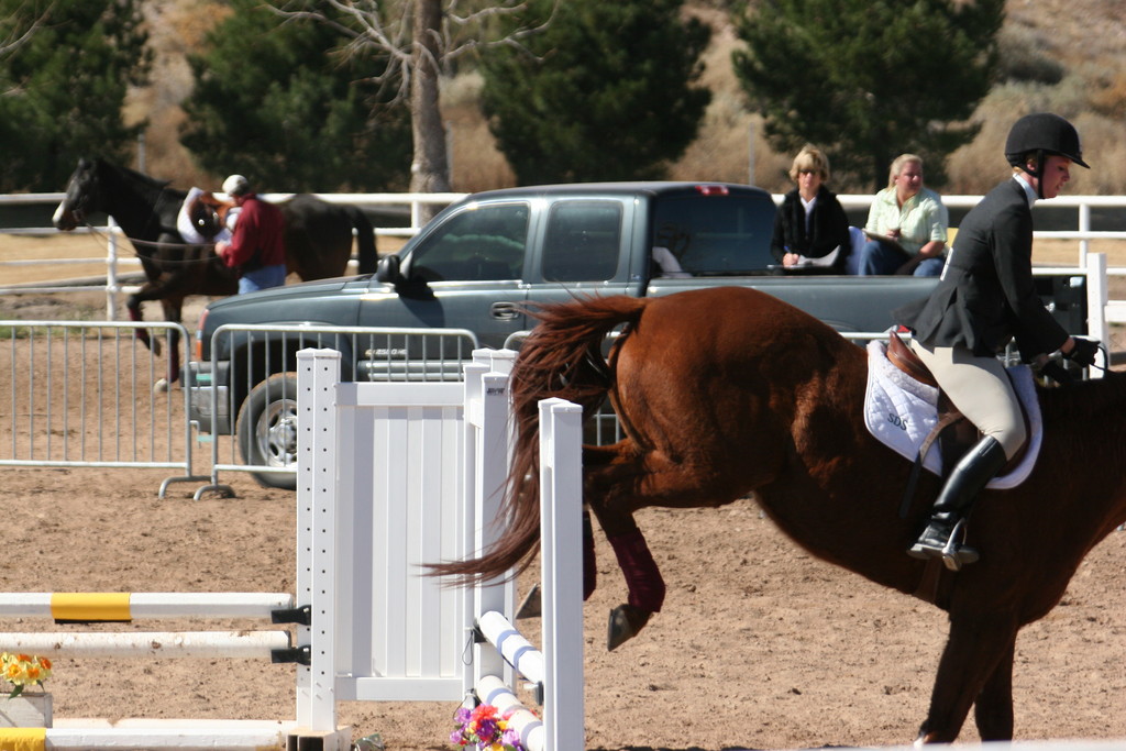 alex/nmsu_d2_fence///////////////////////////////////////////////nmsu_fence_d2_0088.jpg