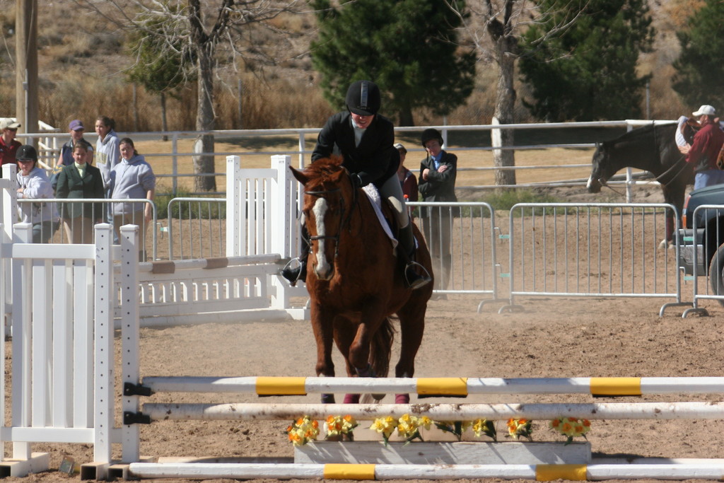 alex/nmsu_d2_fence///nmsu_fence_d2_0090.jpg