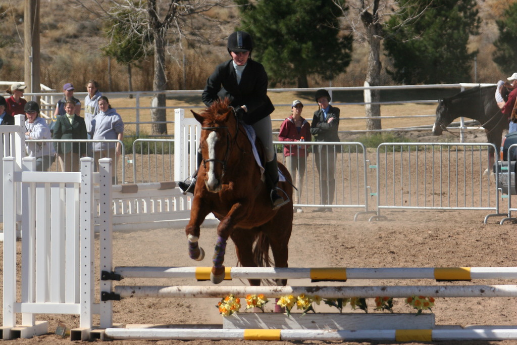 alex/nmsu_d2_fence/////////////////////////////////////////////////////nmsu_fence_d2_0091.jpg