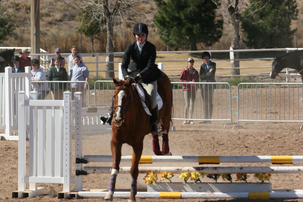 alex/nmsu_d2_fence////////////////////////////////////////////nmsu_fence_d2_0092.jpg