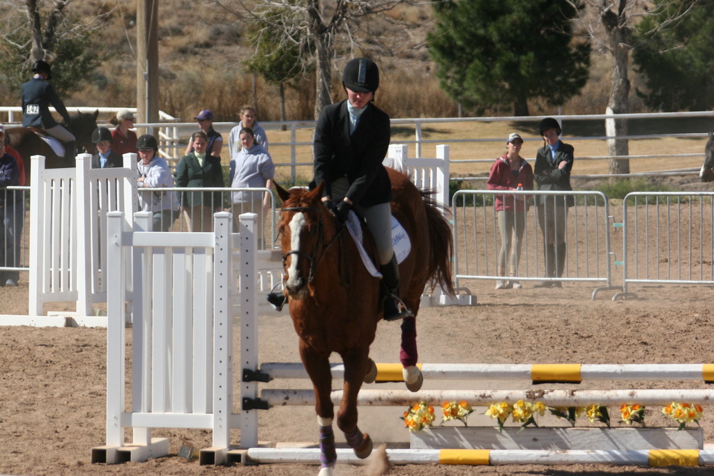 alex/nmsu_d2_fence///////////////////////////////////////////////////////////////////nmsu_fence_d2_0093.jpg